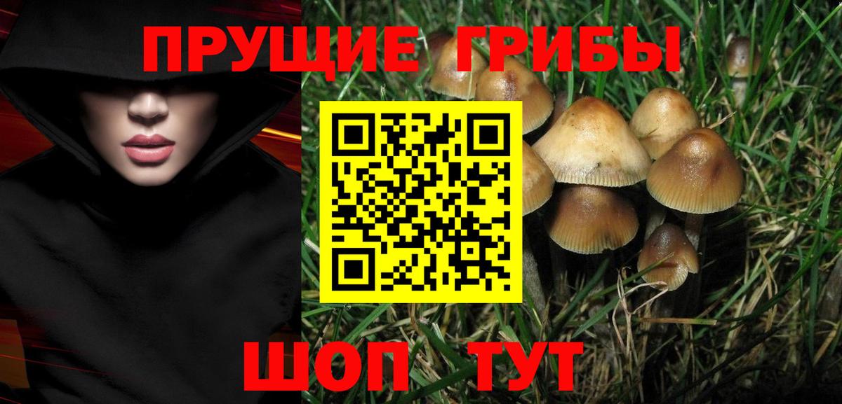 Галлюциногенные грибы прущие грибы  Вход с VPN  Ипатово 