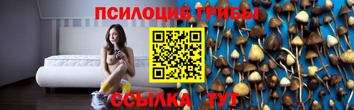 Галлюциногенные грибы мицелий Ипатово